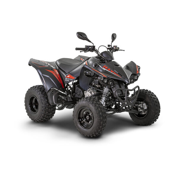 kymco maxxer 300 – t3b